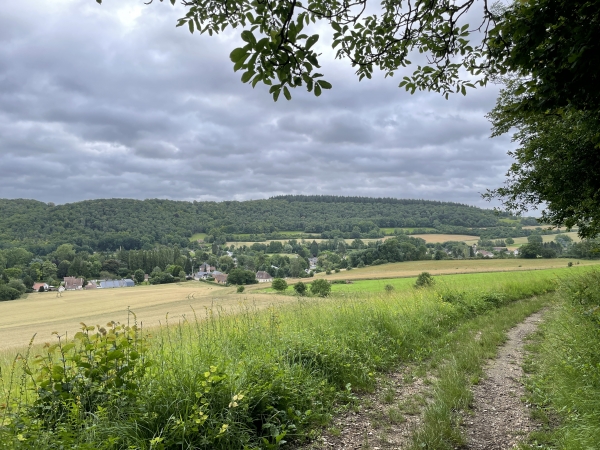 Nous montons dans le bois de Bosville, regard arrière sur la vallée.
