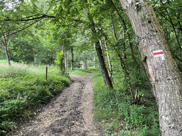 Nous quittons le GR222 que nous avions rejoint à Bosville, et continuons vers l'ouest.