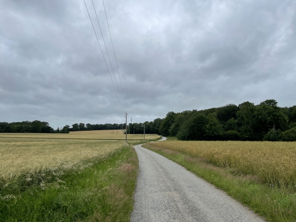 Nous suivons la rue de Platemare sur 4.5km.