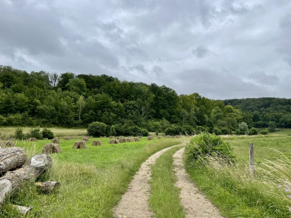 La Vallée débouche à l'entrée de Houetteville.