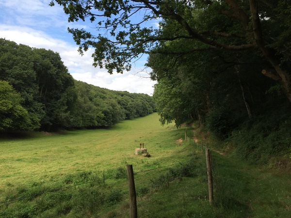 Nous arrivons au pied de la Côte de Radicatel, nous montons vers le Vau Jean.