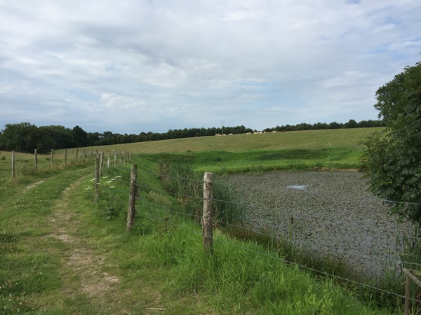 Nous suivons maintenant le chemin de la Côte de l'Abbesse.