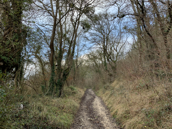 A Amfreville-sur-Iton, nous montons dans le bois d'Amfreville. C'est une belle montée, mais un banc accueille les marcheurs juste avant la montée, pour prendre son souffle, et un café dans notre cas, près du cimetière d'Amfreville.