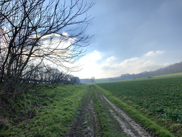 Aux Grands Champs, notre chemin longe la N154.