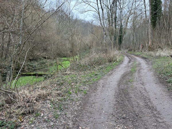 Nous voilà au Ravin de Becdal. On voit, à gauche, les vestiges d'anciennes cressonnières.