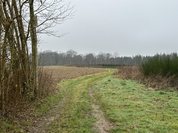 Nous continuons sur le chemin qui sépare les bois du Rouvray et celui d'Acquigny, et sortons du bois en arrivant sur le plateau de Canappeville.