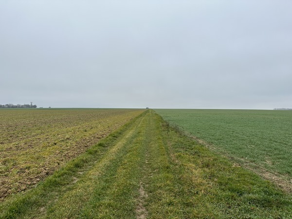 Nous continuons sur les chemins de la plaine en direction du Mesnil-Jourdain.