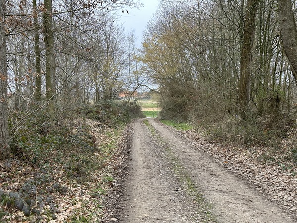 Nous arrivons au niveau de la D133, que nous suivrons à droite sur quelques dizaines de mètres.