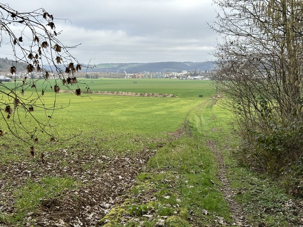 Nous sortons du bois. En face, on distingue Louviers.
