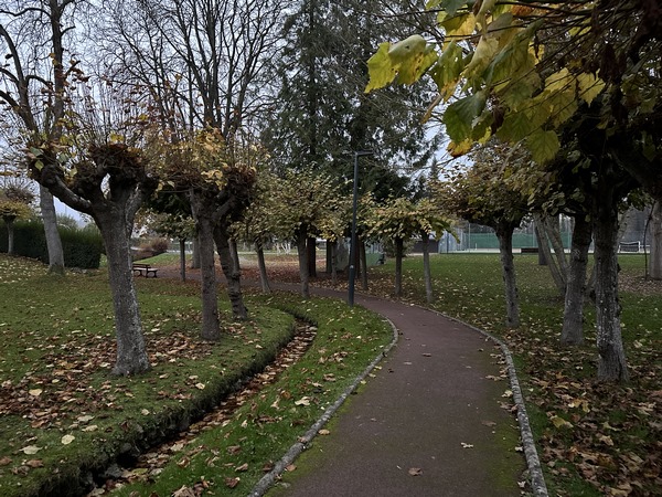 Nous tournons sur boulevard Jean Pothin, et profitons de la promenade dans le jardin public, derrière la mairie.