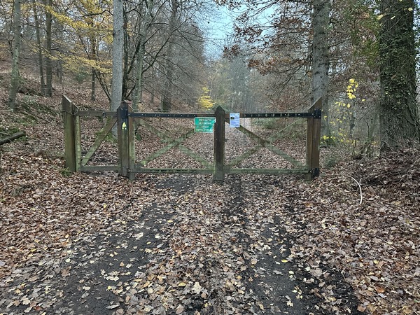 Nous entrons en forêt de Beaumont par le passage pour piétons, à gauche du portail.