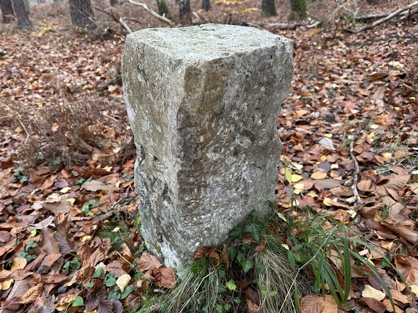 Ce n'est pas la première borne de propriété que nous croisons en forêt. Il semblerait que celle-ci porte une fleur de lys...