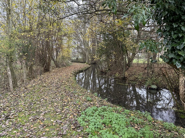 D'abord la forêt et maintenant ces ravissants chemins au fil de l'eau !