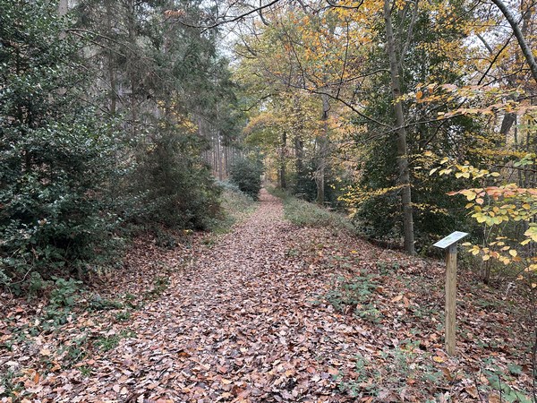 Nous arrivons dans le Parc Parissot, balisé de panneaux informatifs. Albert Parissot était un sénateur de l'Eure. Il a légué ce parc à la commune de Beaumontel.