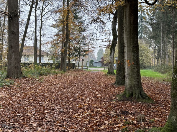 Nous sortons du Parc Parissot, et continuons tout droit.