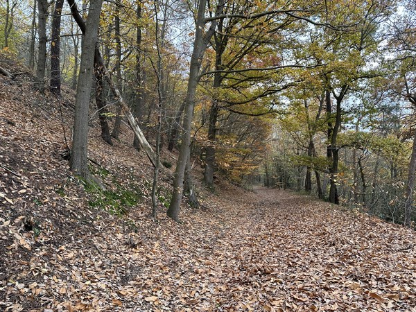 Quelque part, sur notre gauche, sur la motte, se trouvait le château de Roger de Beaumont, détruit par Du Guesclin. 