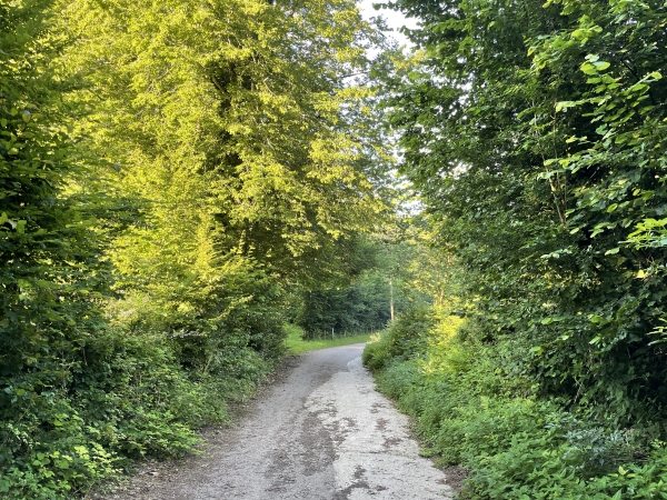Le chemin des Sources nous conduit jusqu'au creux du vallon.