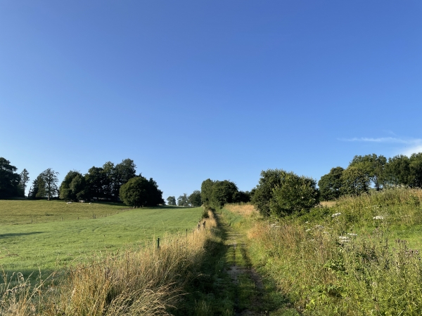 Nous remontons au Vausseries.