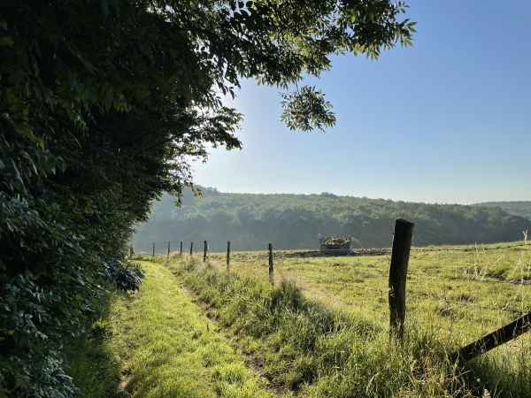 Nous suivons le chemin des Vausseries pour nous diriger en face, sur la colline boisée de la Côte.