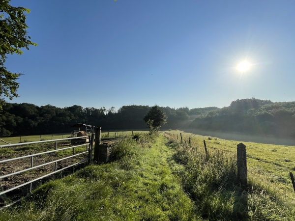 Nous traversons le vallon qui sépare les Vausseries de la Côte.