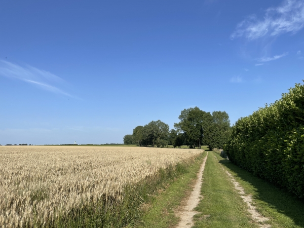 Nous évitons le bourg de Calleville-les-deux-Eglises (qui n'en a plus qu'une) en suivant ce chemin.