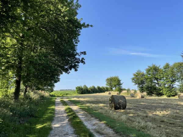 Nous traversons maintenant le Fond de St-Vaast, en direction de Belleville.