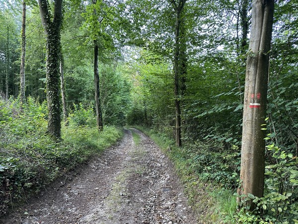 Sur les hauteurs d'Eglemesnil, le GR212 nous rejoint. Le GR212 relie Quiberville à Duclair, en longeant la Saâne depuis la mer jusqu'à Val-de-Saâne.