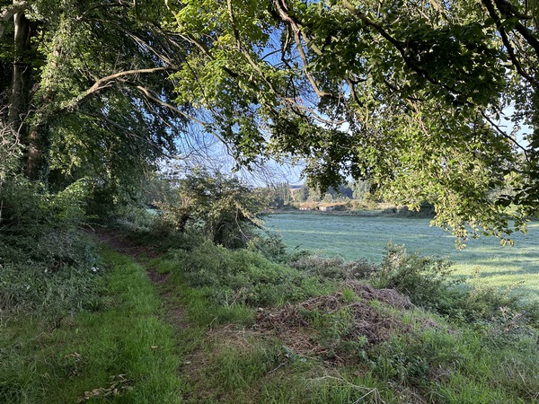 Nous sommes en lisière du bois de Biville, avec de sympathiques points-de-vue sur la vallée de la Saâne.