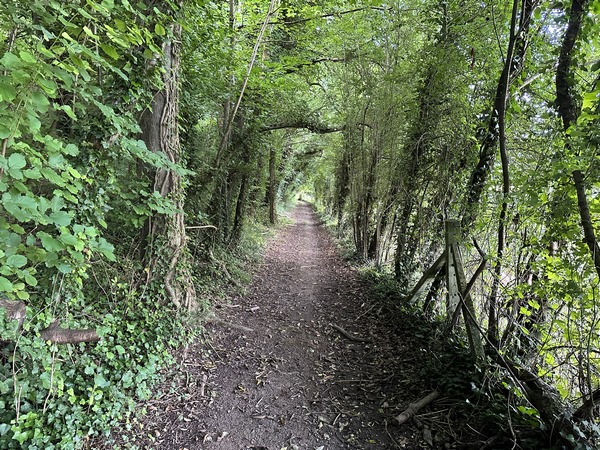 Depuis le départ, les chemins sont très agréables.