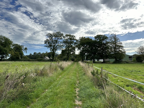 Chemin du Mesnil en direction de Lestanville.