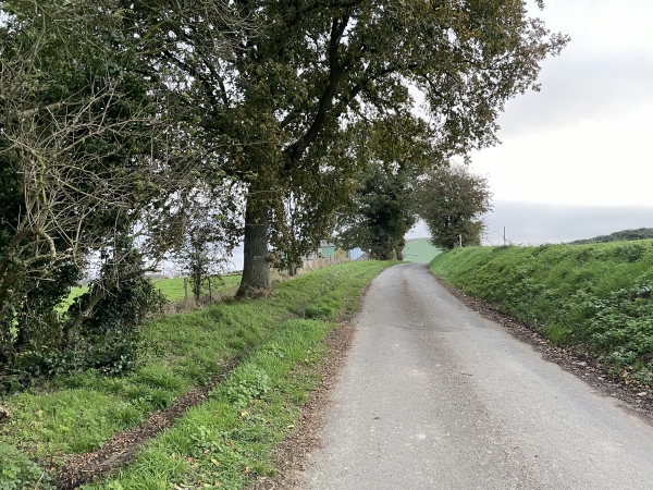 Nous quittons la route de Bacqueville pour suivre la route d'Hermanville.