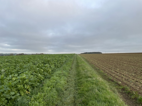 Le GR212 nous offre ce premier chemin sur les hauteurs de Brachy. Nous allons le suivre droit vers le nord en direction de Gourel.