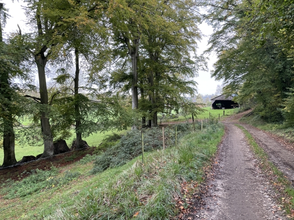 Nous allons tourner à gauche et quitter le GR212.