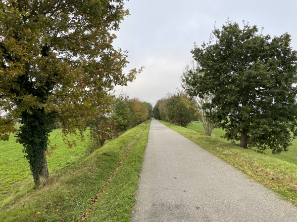 Un escalier près du pont nous permet de rejoindre la Véloroute du Lin.
