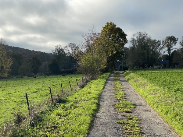 Après avoir rejoint la route de la Vallée, nous tournons sur la Cavée de Saint-Ouen.