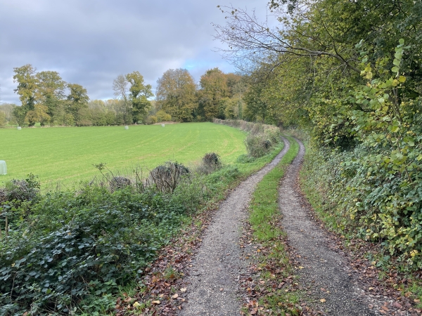 Nous retrouvons le GR212 sur le chemin du Bois que nous suivons vers le nord.