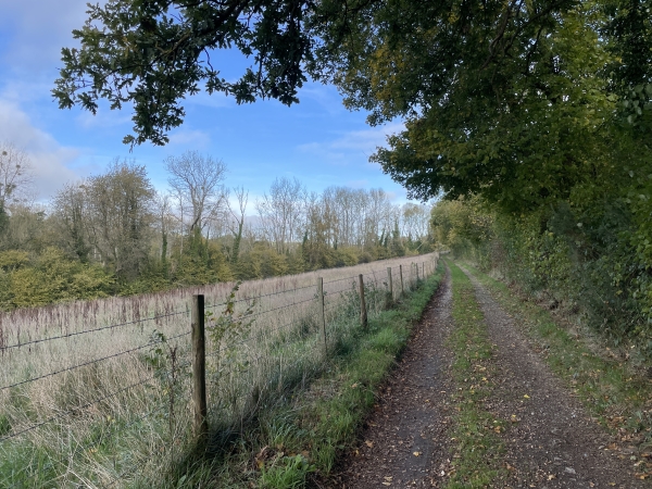 GR212 sur le chemin du Bois.