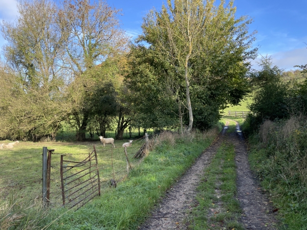 GR212 sur le chemin du Bois.