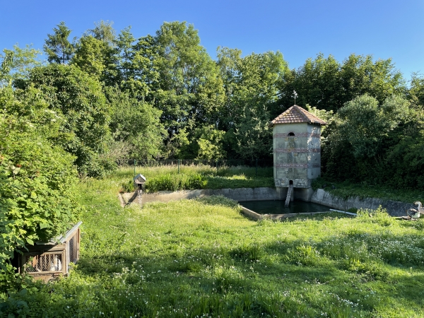 Mare privée et son petit abri/colombier.