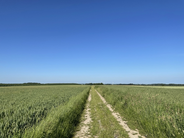 Nous traversons la plaine du Montaban en direction du bois d'Ablemont. En regardant vers le nord, à 500 mètres, vous apercevrez un calvaire dans un champ. Surnommé la croix des pestiférés, il marque l'emplacement d'un ancien cimetière créé pendant les épidémies de peste au Moyen-Âge.