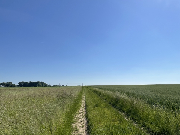Nous traversons la plaines de la Forière.