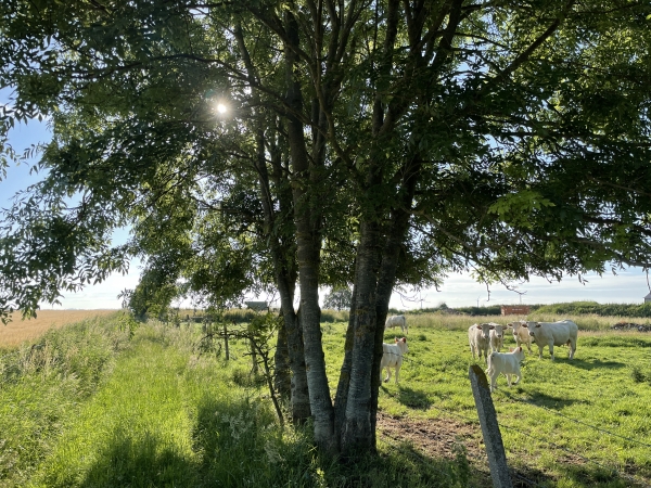 Nous arrivons dans la plaine des Côtes, nous allons suivre ce chemin plein est.