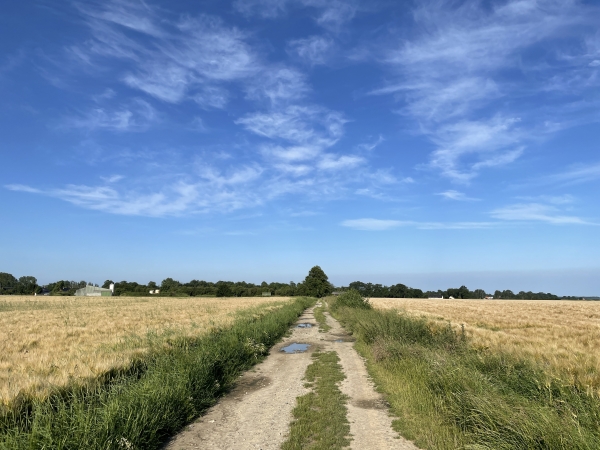 Traversée de la plaine des Côtes. Regard arrière en raison du soleil de face.