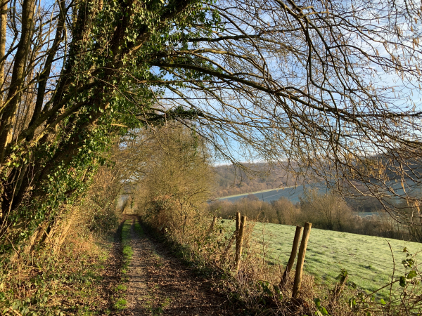 Nous suivons le chemin (GR210) qui domine la vallée de la Scie, en lisière du Bois du Caule. A voir : les photos de l'album de la rando, répertoire 2015, prises à la belle saison !