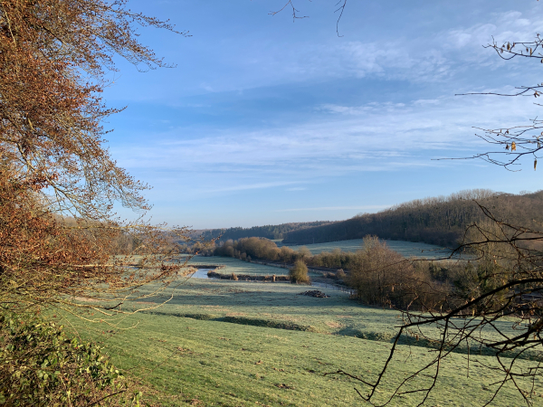 En contrebas du chemin, la scie ondule calmement au milieu des prés.
