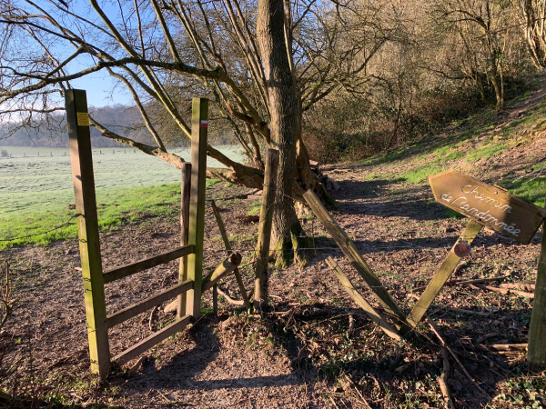 Près de la Ravine, l'itinéraire entre dans les prés grâce à des passe-clôtures.