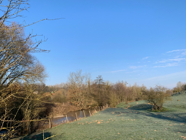 Traversée de la vallée au niveau du Manoir de St-Crespin. Sur l'arbre du centre, la tache blanche est un héron.