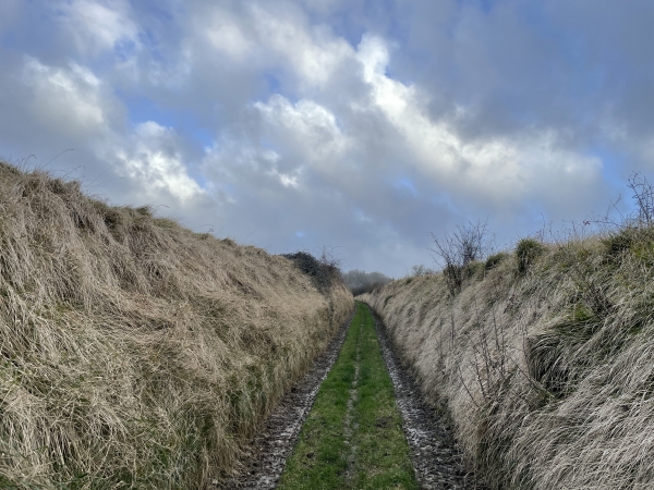 Je monte sur le coteau ouest de la vallée de la Varenne par ce chemin duveteux. Dans l'album de la rando, il y a aussi les photos d'octobre 2015, plus vertes.