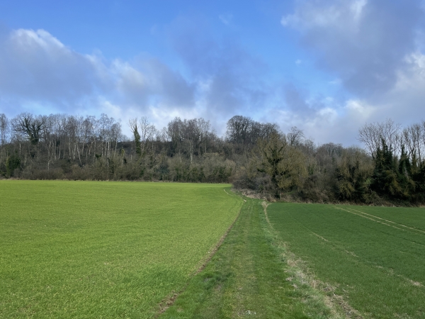 La partie la plus pentue du coteau est couverte de bois que je vais traverser pour atteindre le plateau.