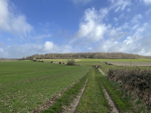 J'ai bien fait de faire une pose : il faut maintenant gravir le Massif de Pimont. En réalité, la pente n'est pas méchante, et les panoramas sont tellement beaux, qu'ils sont le prétexte à plusieurs poses.